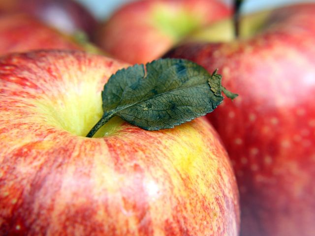 Az. Agricola Cascina Lavacchielo