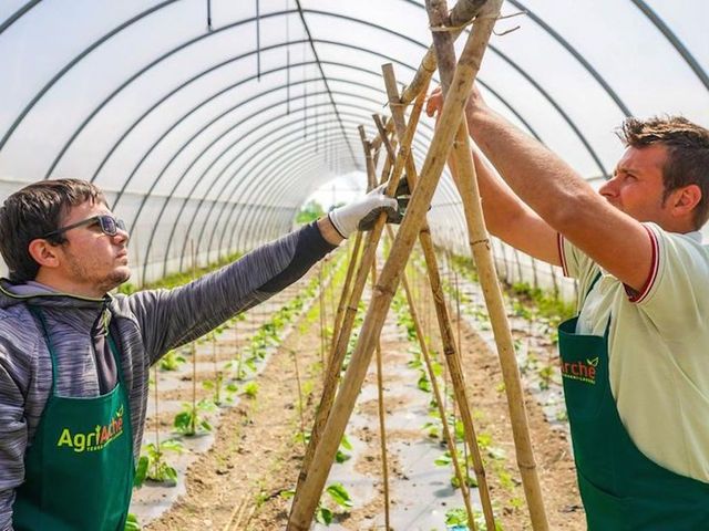 Coop. Sociale Arché