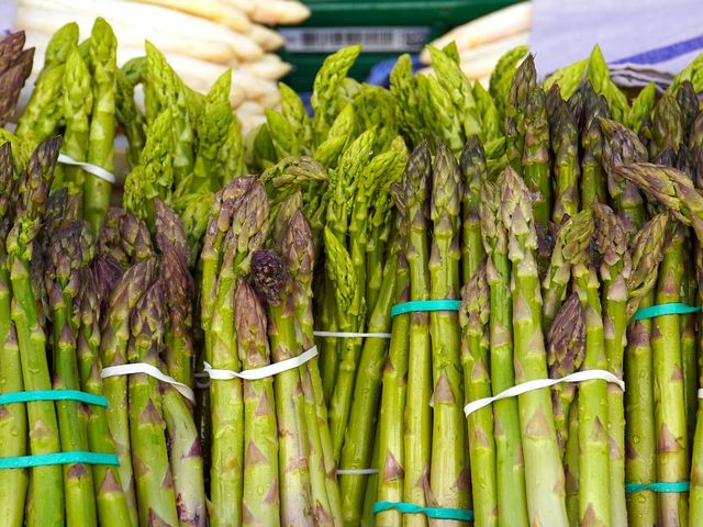 El cap del nono Pinì