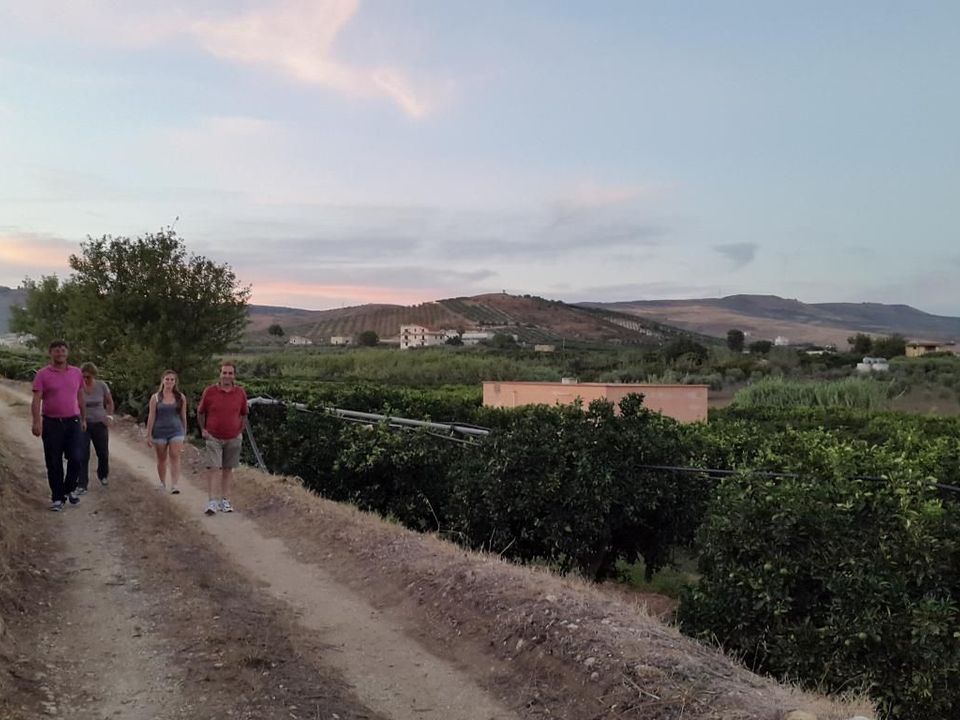 Panoramica dall'azienda agricola Chetta
