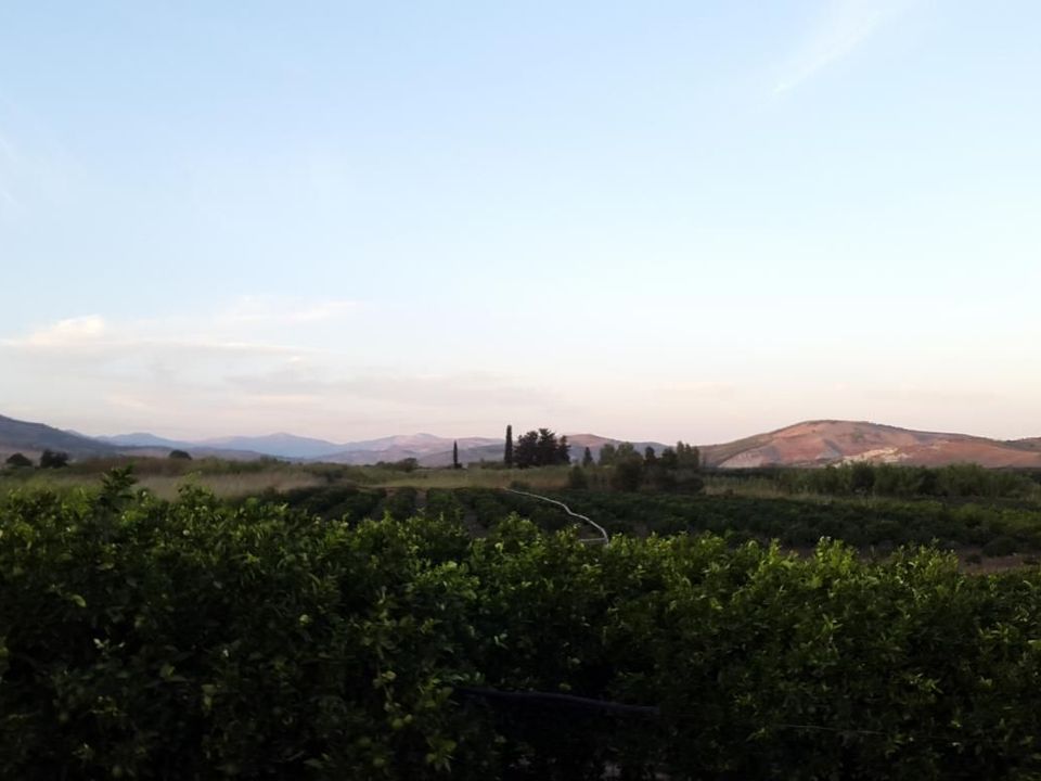 Agrumento dall'azienda agricola Chetta