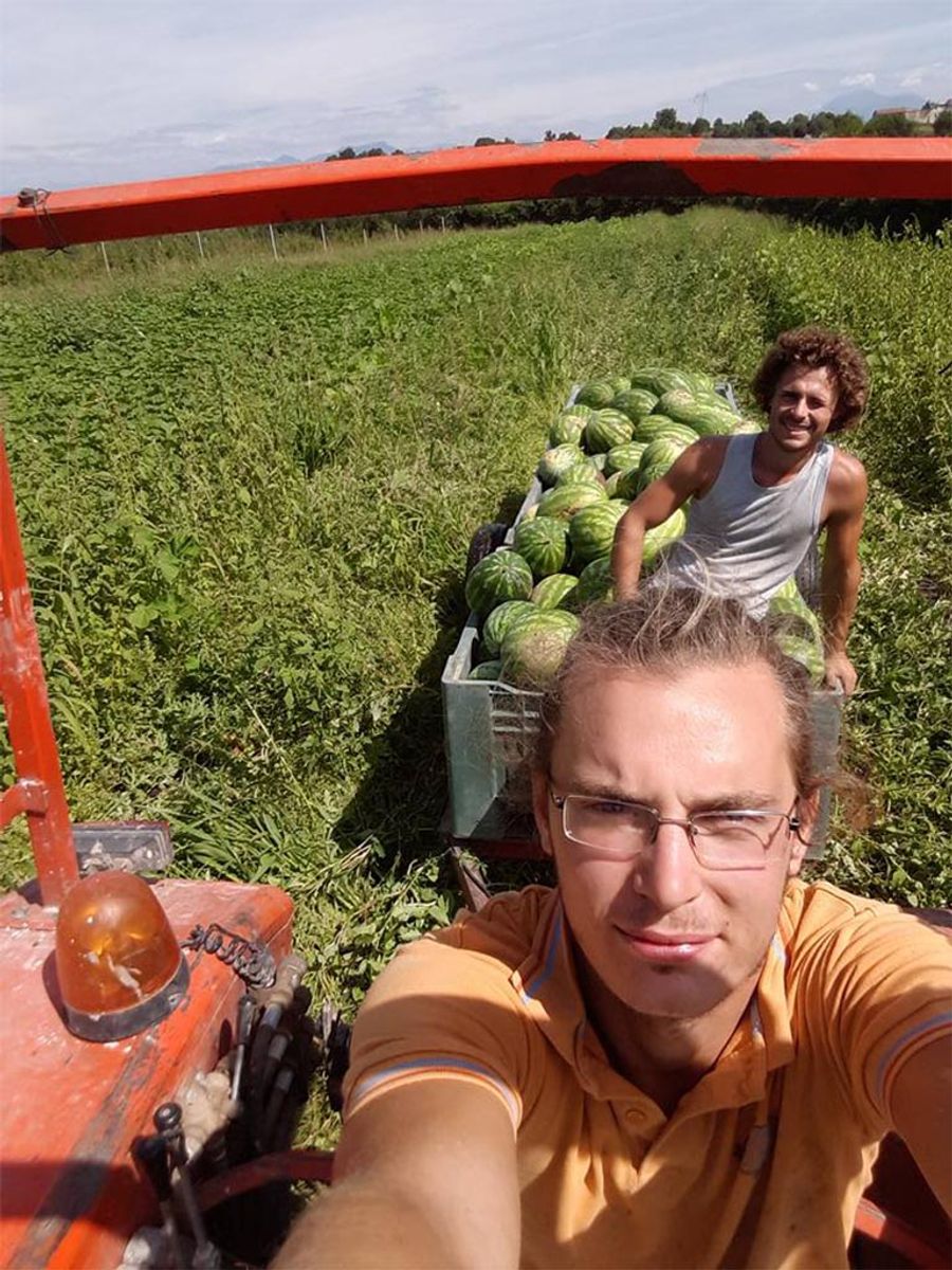 Lavorazione nei campi