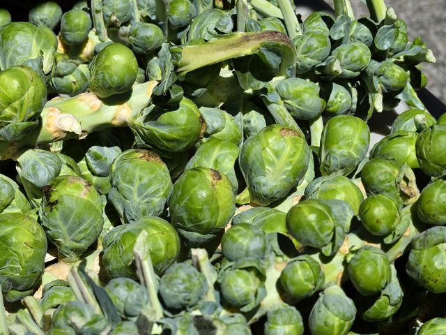 Cavoletti di bruxelles