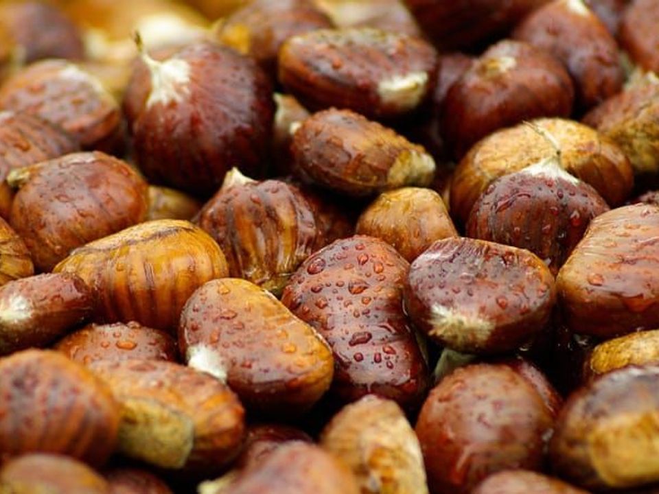Castagne bagnate