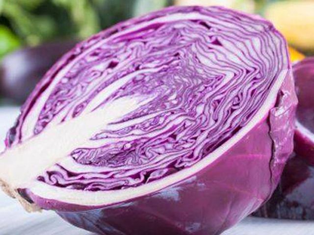 Cavolo cappuccio rosso