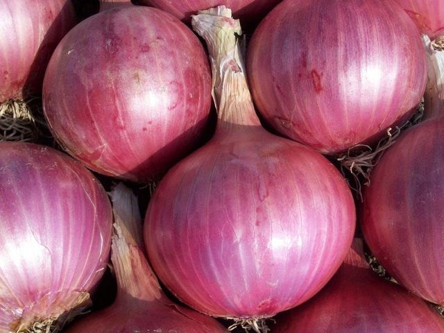 Cipolle dei Fratelli Calcerano