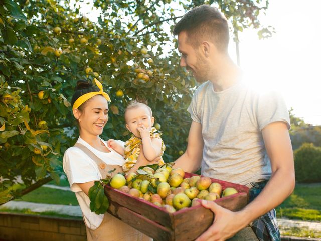Dai campi alla tavola: il tempo delle mele