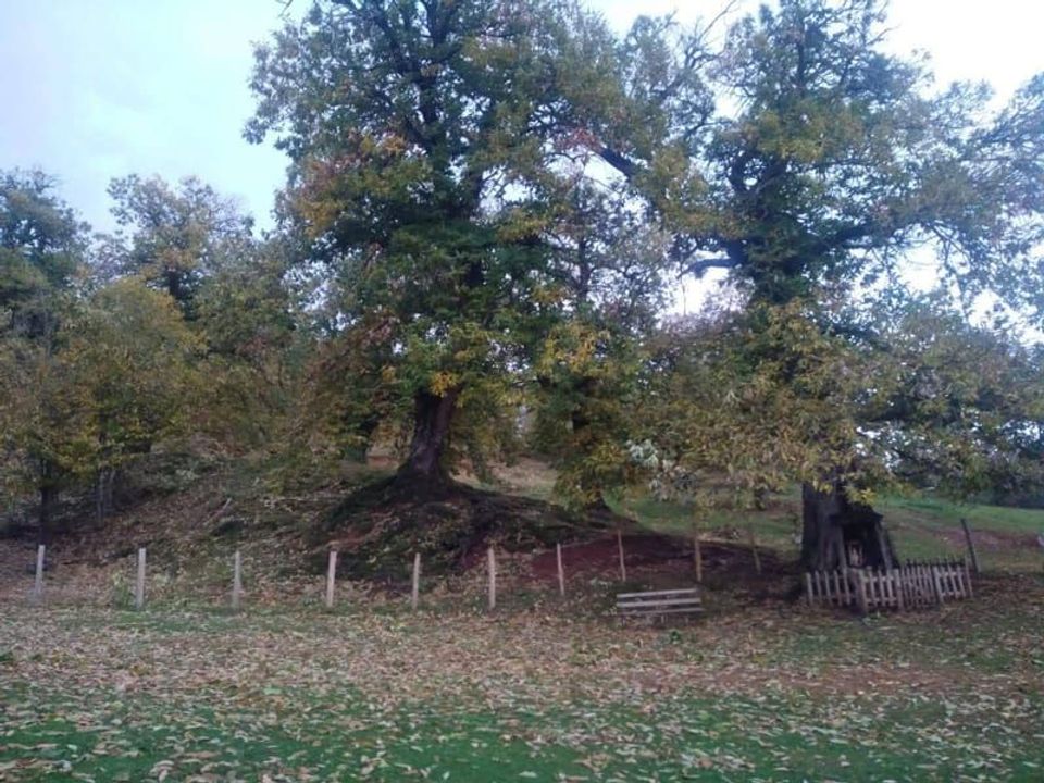 La madonna del castagnara