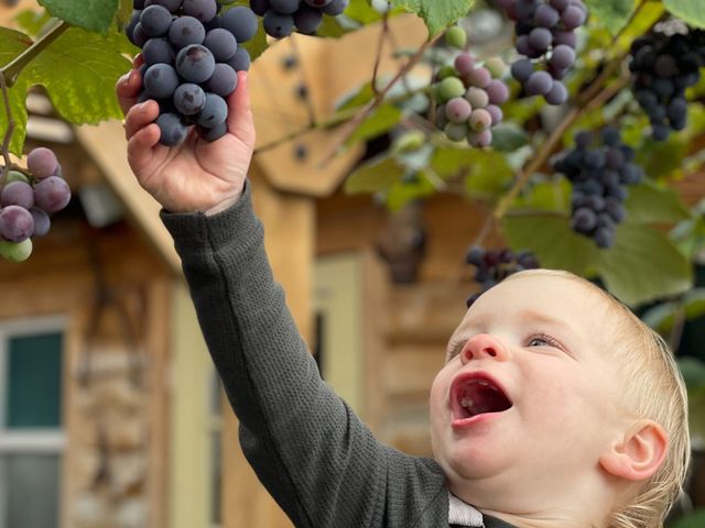 La qualità ha molte facce