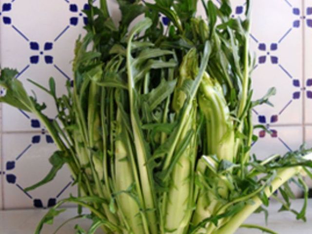 Cicoria Catalogna a Puntarelle