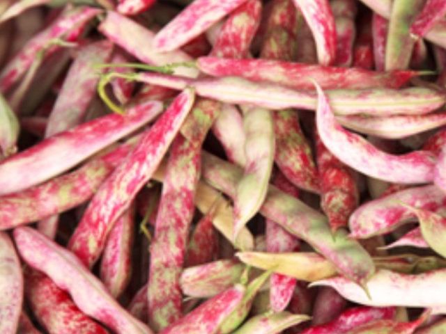 Fagioli borlotti