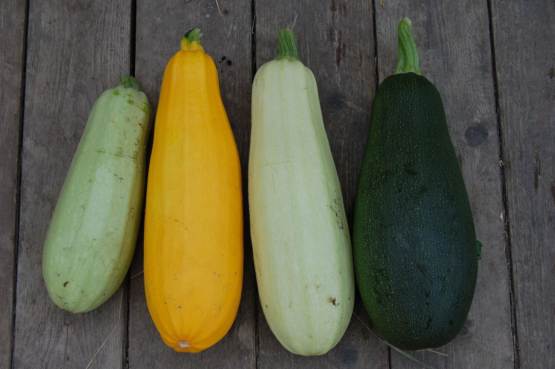 zucchini-varieta.jpg